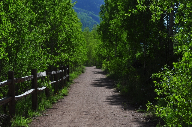 walking trail